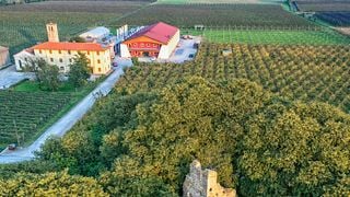 Bellussera-Weintour