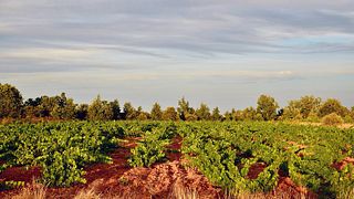 Fuentes Del Silencio Winery