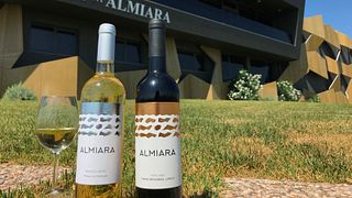 Cata de vinos y visita guiada en Quinta Da Almiara