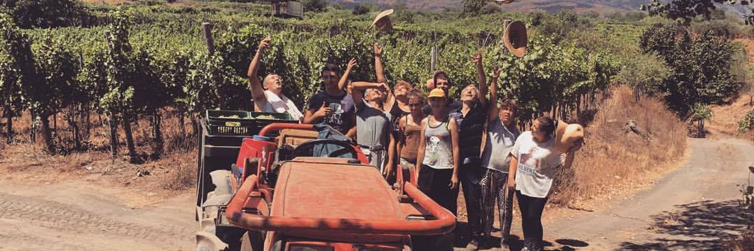 sorrentino-vesuvio-winemakers-at-vineyard