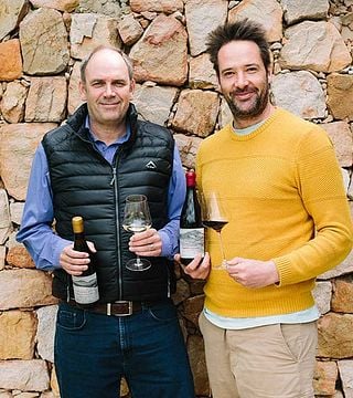 Paysage Dégustation de vins et visite à Gabrielskloof