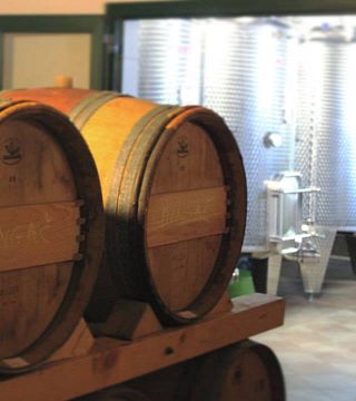 Degustazione di vini e visita alla cantina Bura Mrgudic