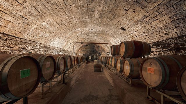 Vinprovningar på Cyprus Hill Winery