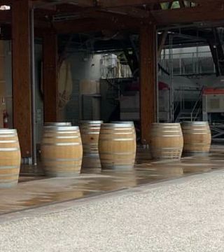 Le sommet du Verdicchio chez CasalFarneto | Dégustation de vins