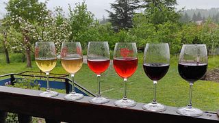 Cata de vinos y visita guiada en Oda Family Marani