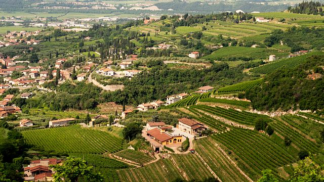 Valpolicella Classica E-Bike & Wine