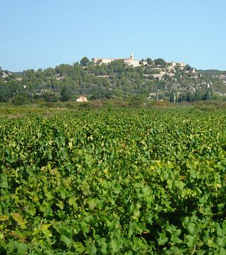 Degustazione di vini e visita al Domaine La Lôyane