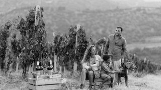 Sicily's Organic Vigna Nica Wine & Tasting Journey
