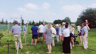 Tuffon Hall Vineyard: Wine Tasting Experience