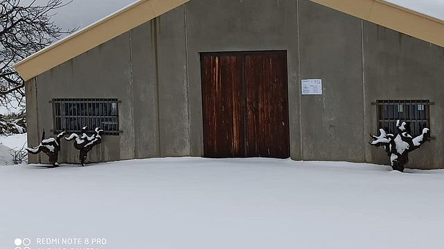 Bodega Balcona