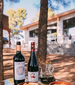 Valencia Organic Wine & Cava Tour with Winemaker