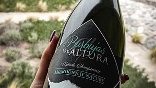 Norte Sparkling Heights: Burbujas Wine & Tour