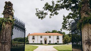 Traditional Bairrada Lunch and Wine Experience at Quinta da Grimpa
