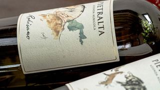 Tuscan Vineyard Stroll & Pietralta Wine Tales