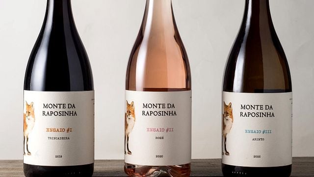 Das beste Weinprobe-Erlebnis am Monte da Raposinha 