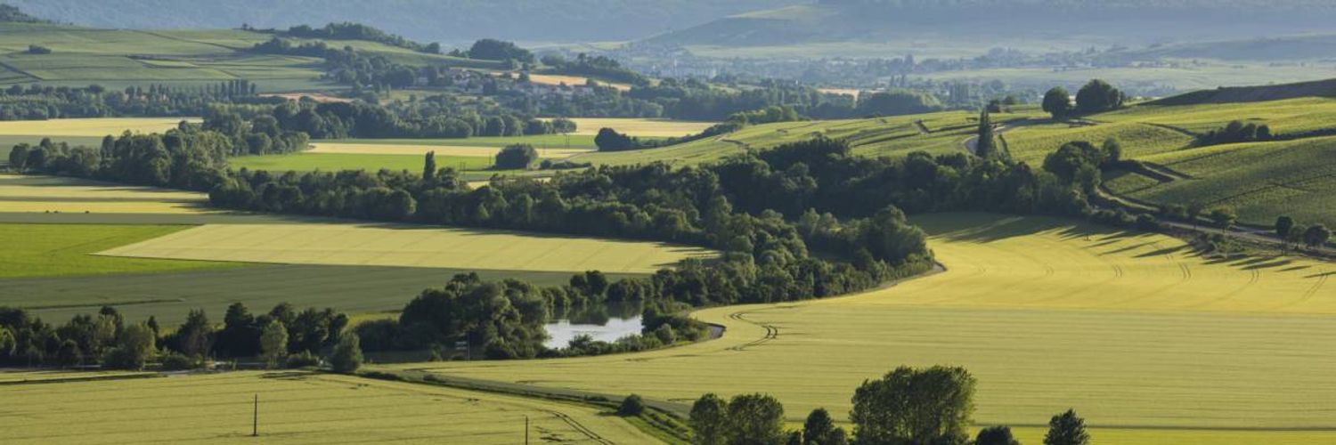 valley_de_la_marne
