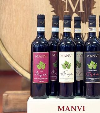 Tuscan Organic Wine & Vineyard Tour at Manvi + tasting of 3 wines