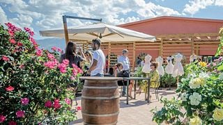 Dégustation de vins et visite à la Cantina Benedetti & Grigi