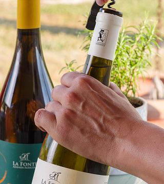 Degustazione con il Vignaiolo e Tour privato della Cantina