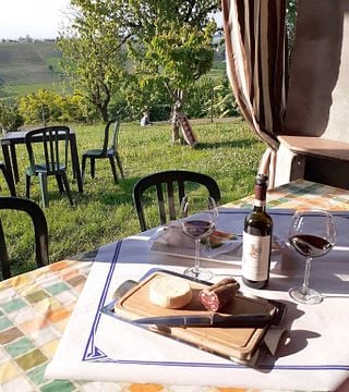 Explore Langhe Wines with Iconic Barolo in Piedmont