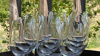 Degustazione di vini e tour al Domaine Olivier Pithon