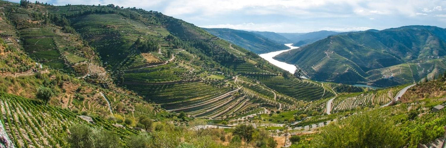 Terrace vinyeards of Duoro Valley, Portugal