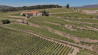 Weinguttour und Weinprobe | Quinta da Portela de Baixo
