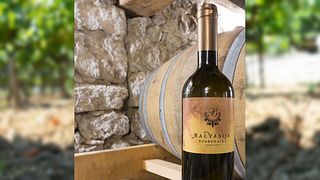 Tour de degustação de vinhos Konavle saindo de Dubrovnik 