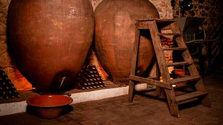 Cella Vinaria Antiqua by Honrado Vineyards