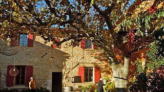 Vin- och oljeprovning och rundtur på Domaine de la Camarette
