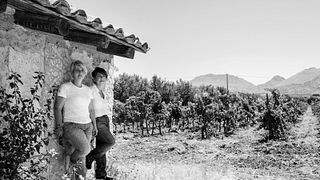 Sicily Citrus & Wine Tour at Limonio
