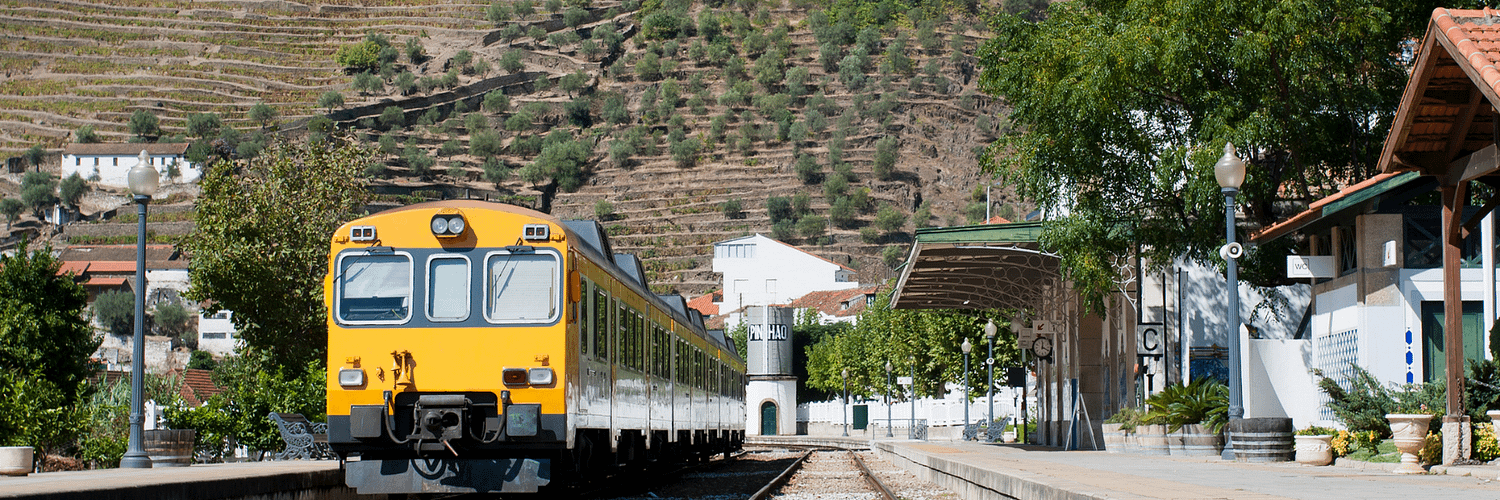 Pinhão