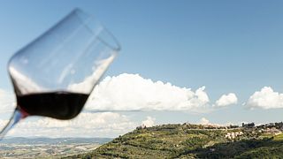 Montalcino: Vingårdspicknick med en flaska vin