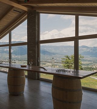 Weinprobe und Tour in Sveti Martin