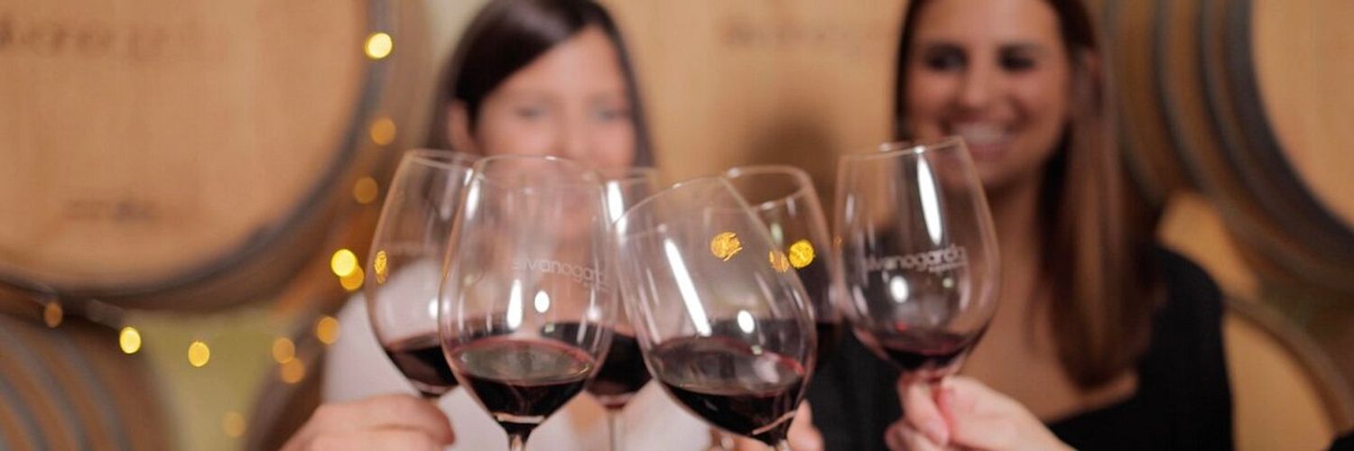 Bodegas Silvano Garcia 1 Wt2025