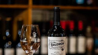 Weinprobe und Tour bei Bodegas Baudron