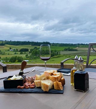 Cata de vinos y visita a la Bodega Pardis