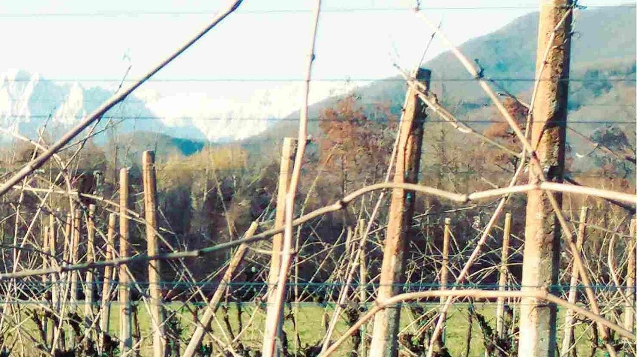 Weinprobe und Tour bei Gleni Wines