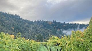 Freed Estate Winery