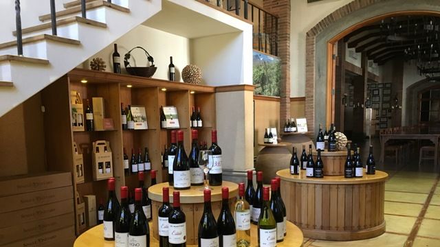 Wine Tasting and Tour at De Martino Winery