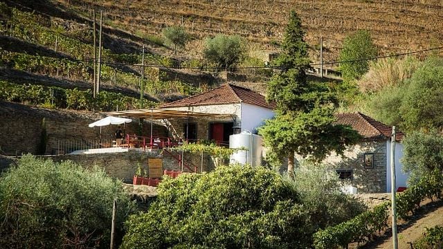 Maçanita Vinhos: A Hidden Gem in the Douro Valley