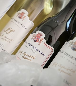 Degustazioni di vini premium presso la tenuta vinicola Gróf Degenfeld
