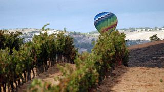 Bodegas Comenge