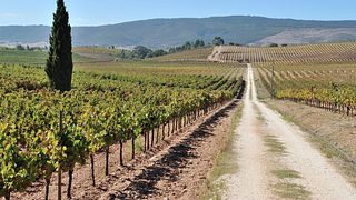 Quinta Do Zambujeiro