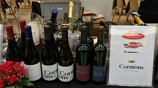 Degustazione e visita presso la Cantina Produttori Cormons