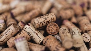 Vinprovning och rundtur på Château de Targé