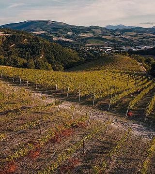 Einfache Weinprobe und Tour im Tenuta Ca' Sciampagne
