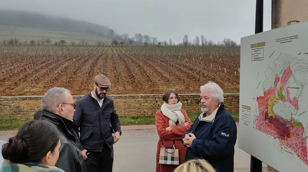 France Intense - Burgundy team