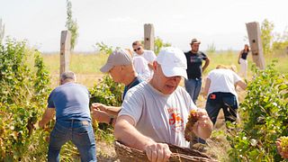 Voskeni Wines: A Legacy of Quality