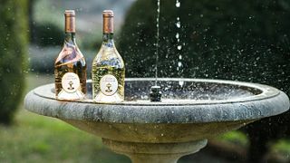 Degustazione di vini allo Château Constantin
